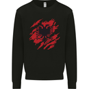 Torn Albania Flag Albanian Day Football Kids Sweatshirt Jumper Black