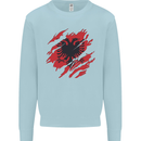 Torn Albania Flag Albanian Day Football Kids Sweatshirt Jumper Light Blue