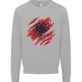 Torn Albania Flag Albanian Day Football Kids Sweatshirt Jumper Sports Grey