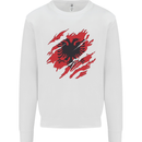 Torn Albania Flag Albanian Day Football Kids Sweatshirt Jumper White