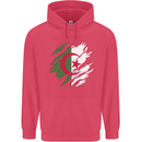 Torn Algeria Flag Algerian Day Football Childrens Kids Hoodie Heliconia