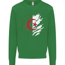 Torn Algeria Flag Algerian Day Football Kids Sweatshirt Jumper Irish Green