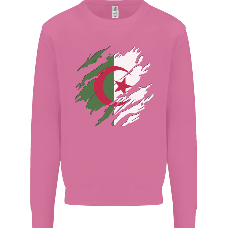 Torn Algeria Flag Algerian Day Football Mens Sweatshirt Jumper Azalea