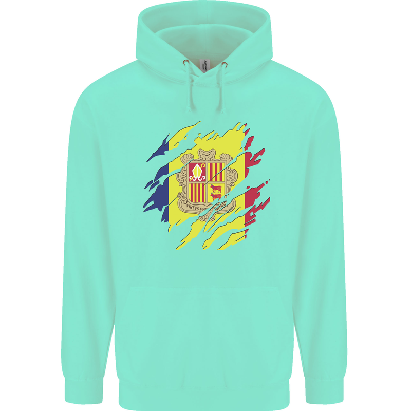 Torn Andorra Flag Andorran Day Football Childrens Kids Hoodie Peppermint