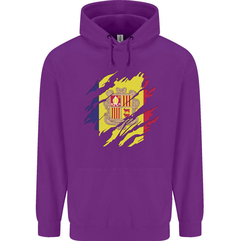 Torn Andorra Flag Andorran Day Football Childrens Kids Hoodie Purple