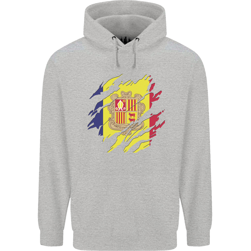 Torn Andorra Flag Andorran Day Football Childrens Kids Hoodie Sports Grey