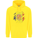 Torn Andorra Flag Andorran Day Football Childrens Kids Hoodie Yellow