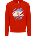 Torn Argentina Flag Argentinian Day Football Kids Sweatshirt Jumper Bright Red