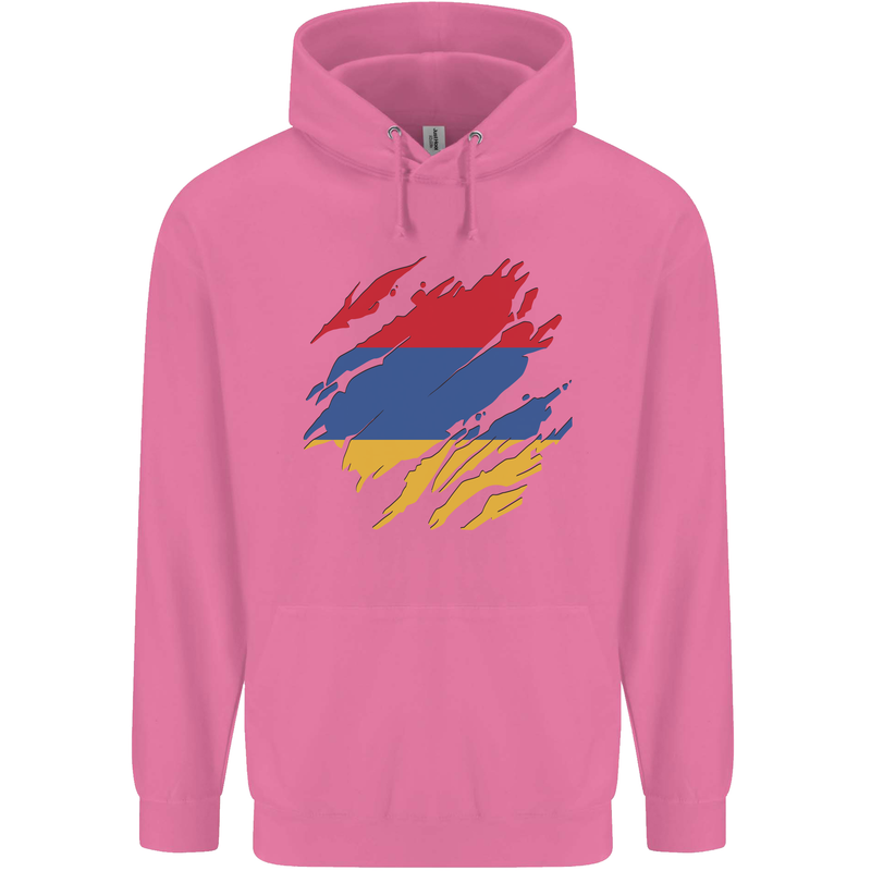 Torn Armenia Flag Armenian Day Football Childrens Kids Hoodie Azalea