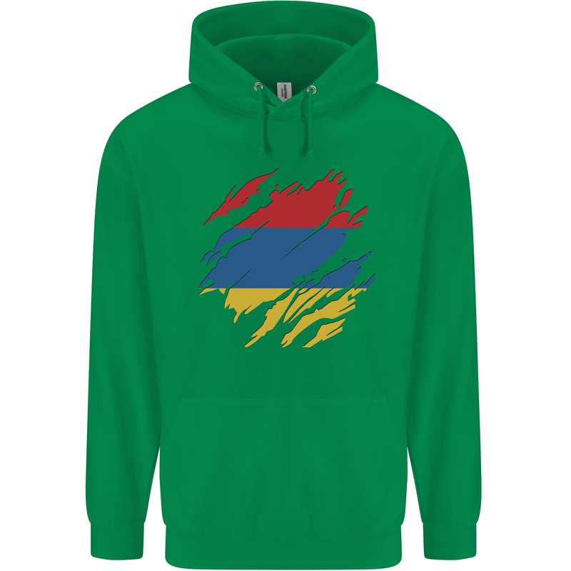 Torn Armenia Flag Armenian Day Football Childrens Kids Hoodie Irish Green