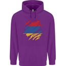 Torn Armenia Flag Armenian Day Football Childrens Kids Hoodie Purple
