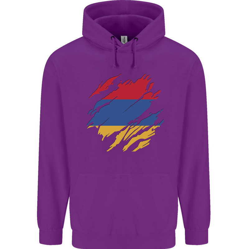 Torn Armenia Flag Armenian Day Football Childrens Kids Hoodie Purple