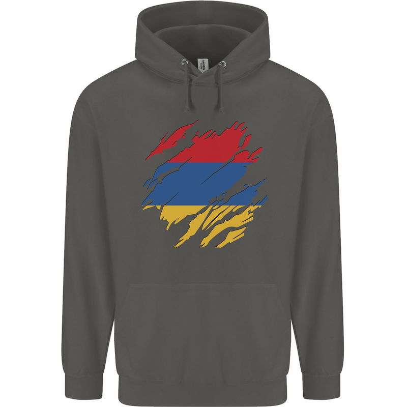 Torn Armenia Flag Armenian Day Football Childrens Kids Hoodie Storm Grey