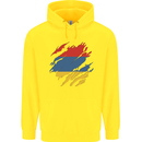 Torn Armenia Flag Armenian Day Football Childrens Kids Hoodie Yellow
