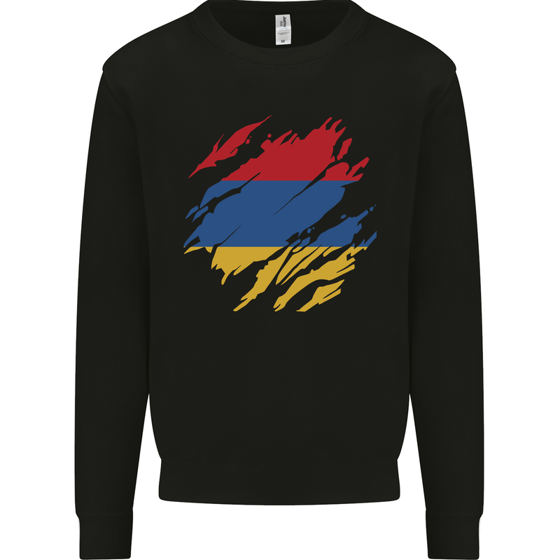 Torn Armenia Flag Armenian Day Football Kids Sweatshirt Jumper Black