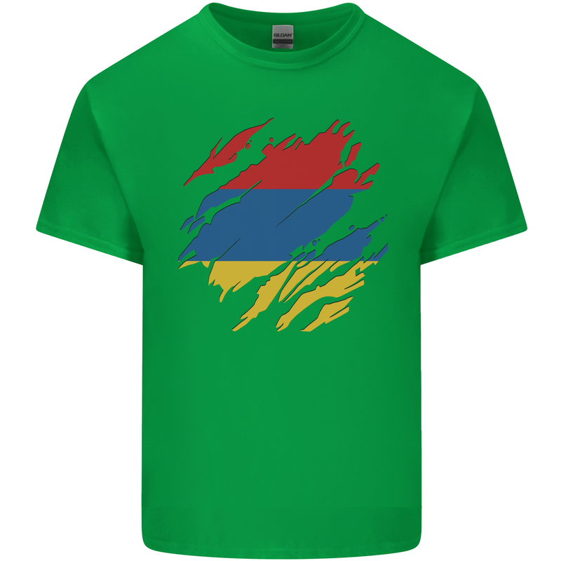 Torn Armenia Flag Armenian Day Football Kids T-Shirt Childrens Irish Green