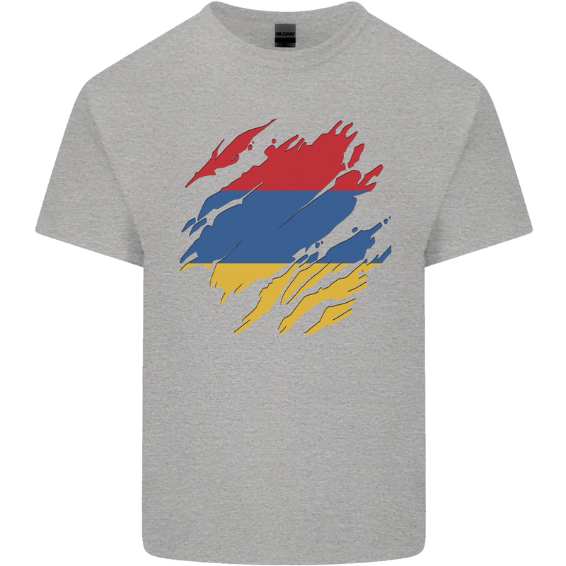 Torn Armenia Flag Armenian Day Football Kids T-Shirt Childrens Sports Grey