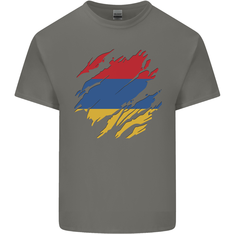 Torn Armenia Flag Armenian Day Football Mens Cotton T-Shirt Tee Top Charcoal