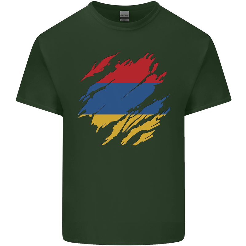 Torn Armenia Flag Armenian Day Football Mens Cotton T-Shirt Tee Top Forest Green
