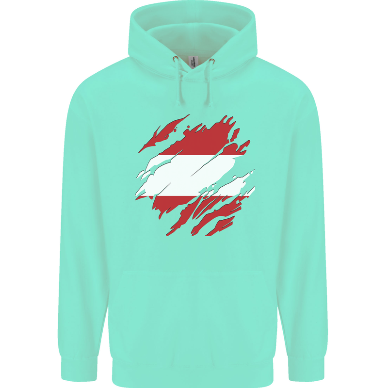 Torn Austria Flag Austrian Day Football Childrens Kids Hoodie Peppermint