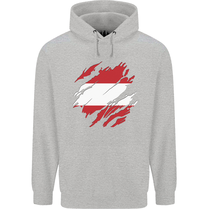 Torn Austria Flag Austrian Day Football Childrens Kids Hoodie Sports Grey