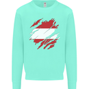 Torn Austria Flag Austrian Day Football Kids Sweatshirt Jumper Peppermint