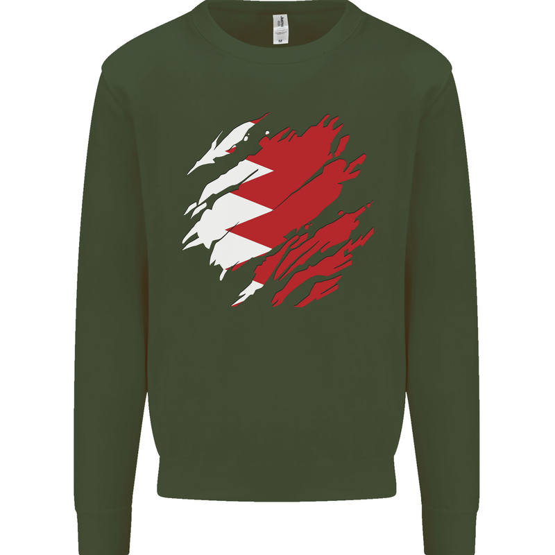 Torn Bahrain Flag Bahraini Day Football Kids Sweatshirt Jumper Forest Green