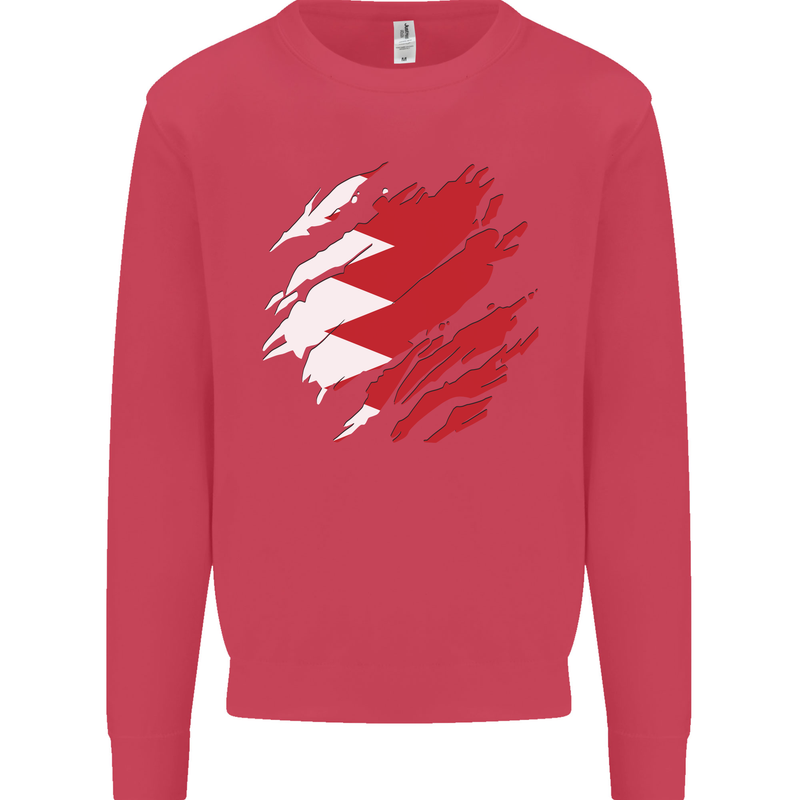 Torn Bahrain Flag Bahraini Day Football Kids Sweatshirt Jumper Heliconia