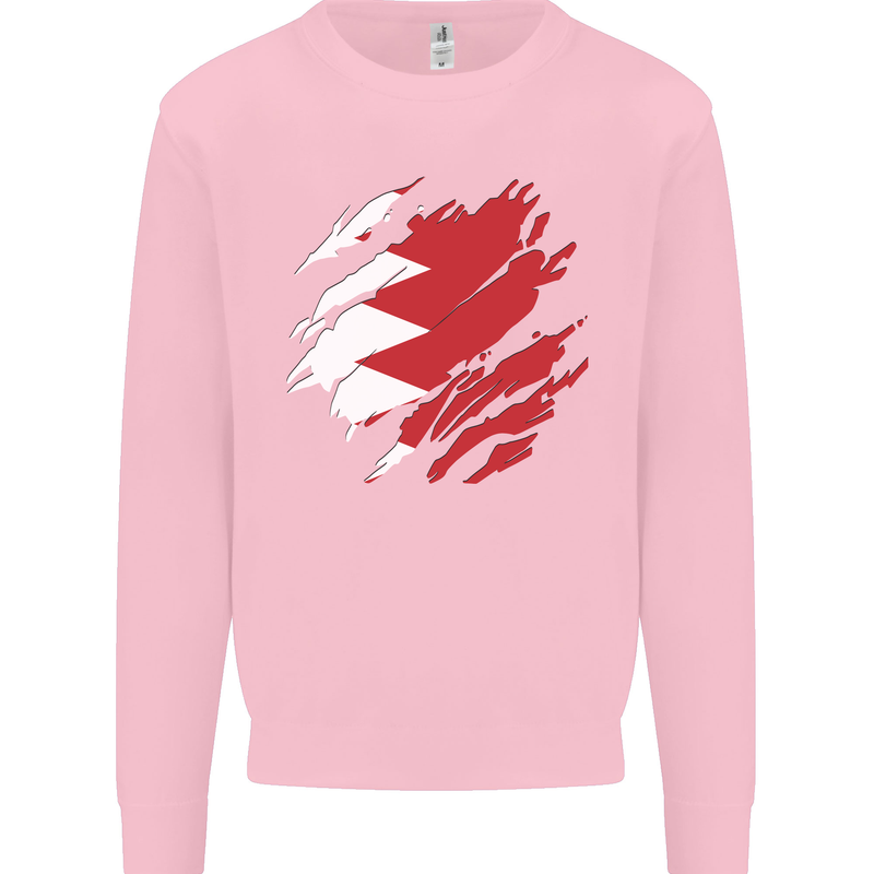 Torn Bahrain Flag Bahraini Day Football Kids Sweatshirt Jumper Light Pink