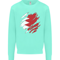 Torn Bahrain Flag Bahraini Day Football Kids Sweatshirt Jumper Peppermint