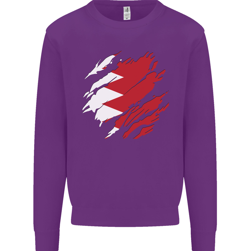 Torn Bahrain Flag Bahraini Day Football Mens Sweatshirt Jumper Purple