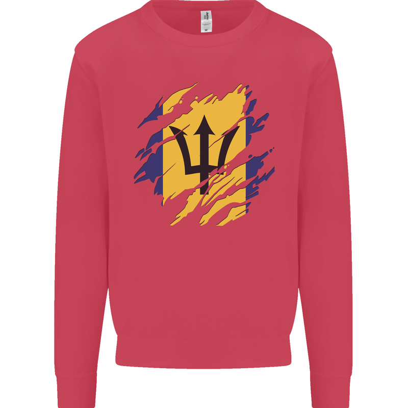 Torn Barbados Flag Barbadians Day Football Kids Sweatshirt Jumper Heliconia