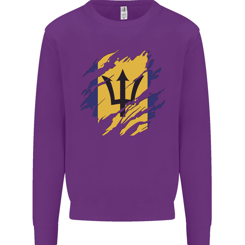 Torn Barbados Flag Barbadians Day Football Kids Sweatshirt Jumper Purple