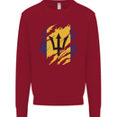 Torn Barbados Flag Barbadians Day Football Kids Sweatshirt Jumper Red