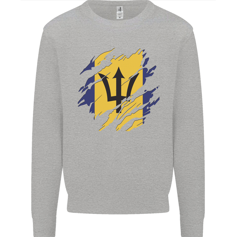 Torn Barbados Flag Barbadians Day Football Kids Sweatshirt Jumper Sports Grey
