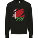Torn Belarus Flag Belarusian Day Football Kids Sweatshirt Jumper Black