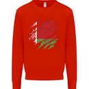 Torn Belarus Flag Belarusian Day Football Kids Sweatshirt Jumper Bright Red