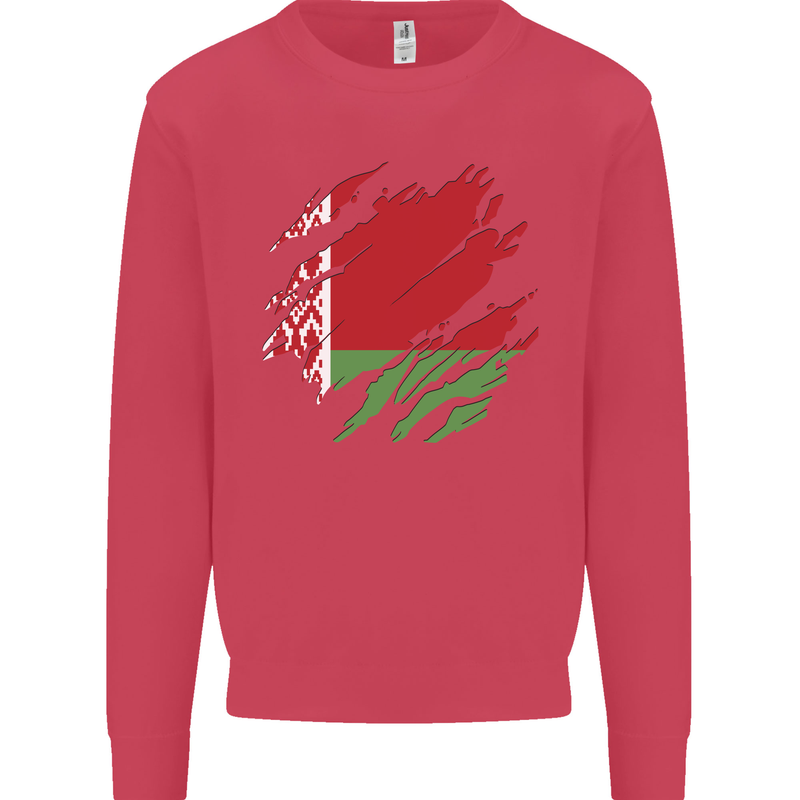 Torn Belarus Flag Belarusian Day Football Kids Sweatshirt Jumper Heliconia