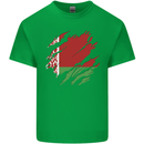 Torn Belarus Flag Belarusian Day Football Mens Cotton T-Shirt Tee Top Irish Green