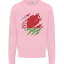 Torn Belarus Flag Belarusian Day Football Mens Sweatshirt Jumper Light Pink