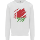 Torn Belarus Flag Belarusian Day Football Mens Sweatshirt Jumper White