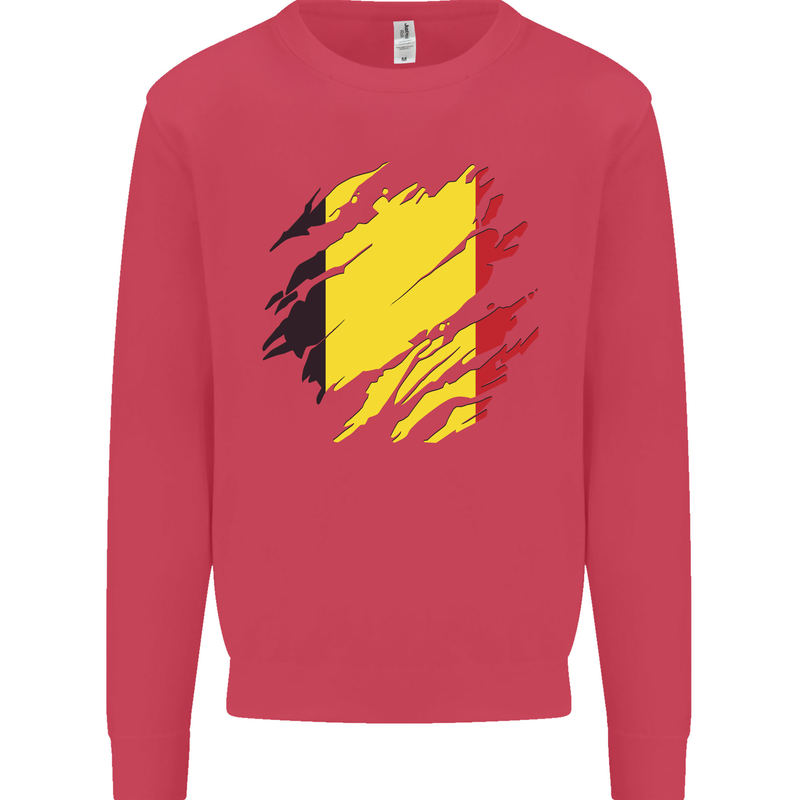 Torn Belgium Flag Belgian Day Football Kids Sweatshirt Jumper Heliconia