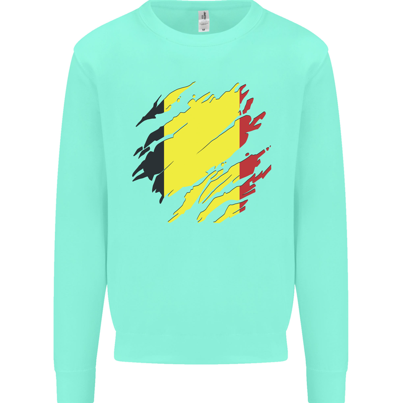Torn Belgium Flag Belgian Day Football Kids Sweatshirt Jumper Peppermint