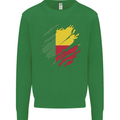 Torn Benin Flag Beninese Day Football Kids Sweatshirt Jumper Irish Green