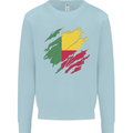 Torn Benin Flag Beninese Day Football Kids Sweatshirt Jumper Light Blue