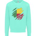Torn Benin Flag Beninese Day Football Kids Sweatshirt Jumper Peppermint