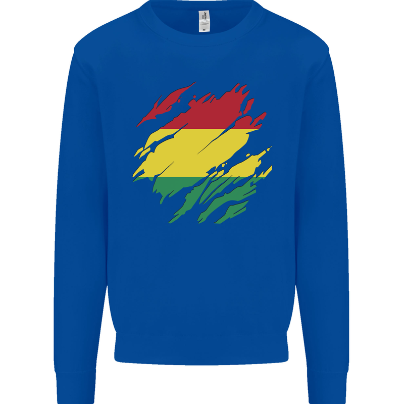 Torn Bolivia Flag Bolivian Day Football Kids Sweatshirt Jumper Royal Blue