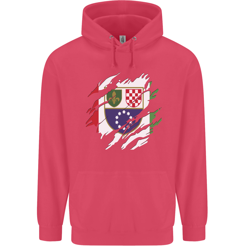 Torn Bosnia and Herzegovina Flag Day Football Childrens Kids Hoodie Heliconia