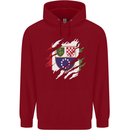 Torn Bosnia and Herzegovina Flag Day Football Childrens Kids Hoodie Red