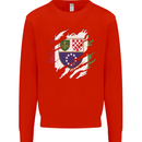Torn Bosnia and Herzegovina Flag Day Football Kids Sweatshirt Jumper Bright Red